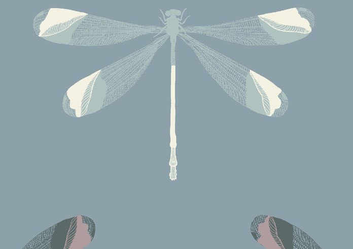 Dragonfly Print, Brittany Blue - Roller Blind - Image 6